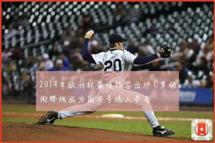 2014年欧洲杯最佳阵容出炉 C罗领衔锋线成为国字号选人参考