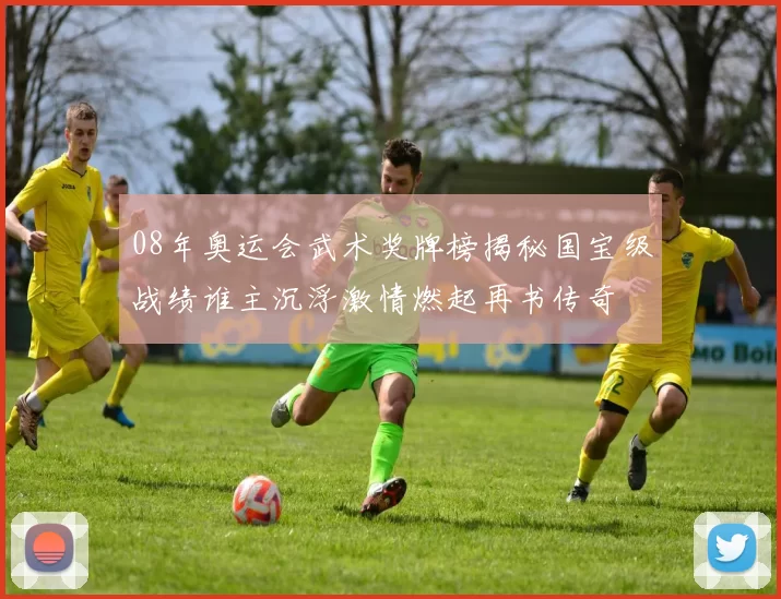 08年奥运会武术奖牌榜揭秘国宝级战绩谁主沉浮激情燃起再书传奇