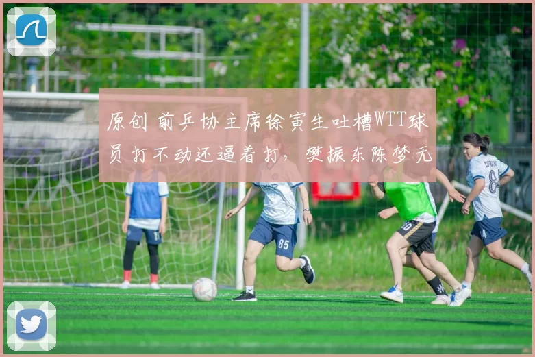 原创 前乒协主席徐寅生吐槽WTT球员打不动还逼着打，樊振东陈梦无奈退出