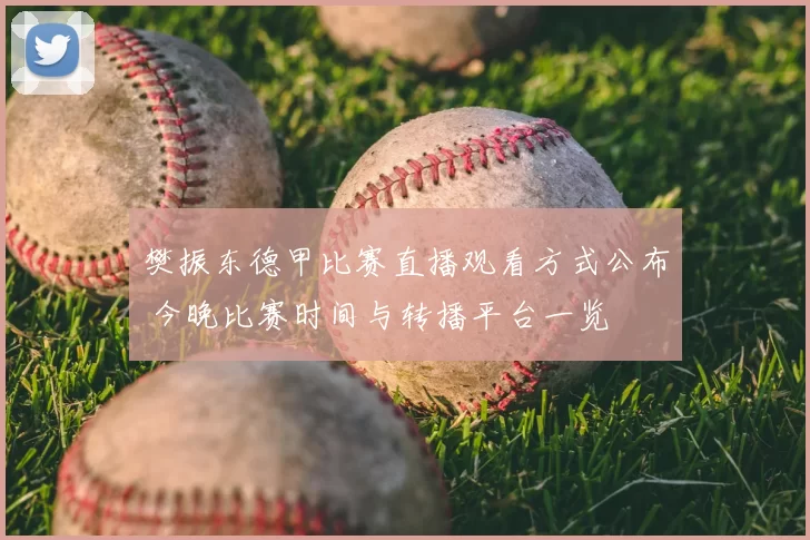 樊振东德甲比赛直播观看方式公布 今晚比赛时间与转播平台一览