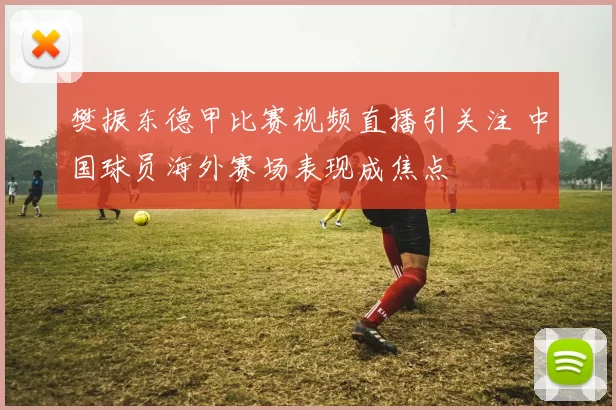 樊振东德甲比赛视频直播引关注 中国球员海外赛场表现成焦点
