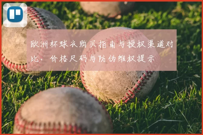 欧洲杯球衣购买指南与授权渠道对比,价格尺码与防伪维权提示