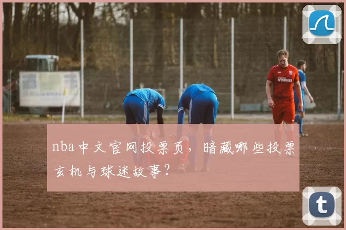 nba中文官网投票页，暗藏哪些投票玄机与球迷故事？