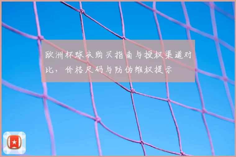 欧洲杯球衣购买指南与授权渠道对比,价格尺码与防伪维权提示