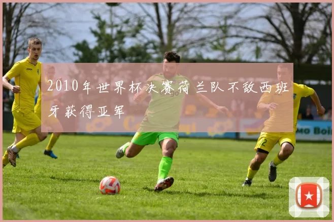 2010年世界杯决赛荷兰队不敌西班牙获得亚军