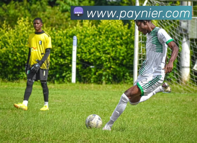 九游9官方入口APP 封面图